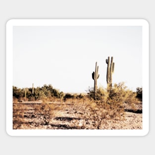 Cacti, Desert, Landscape, Sky, Nature print Sticker